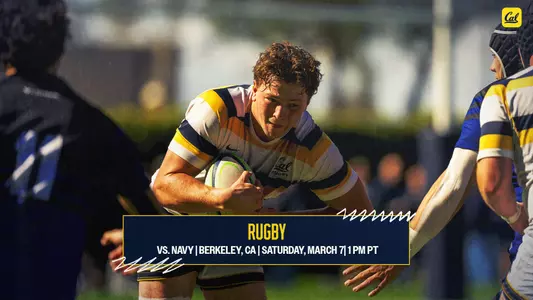 Muller Preview Photo vs. Navy