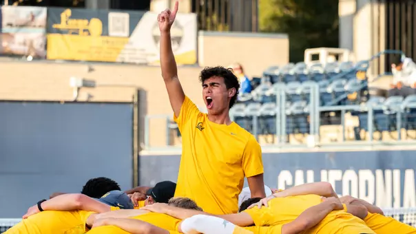 Team