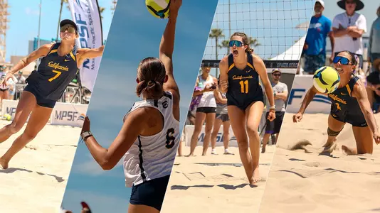 all-mpsf graphic
