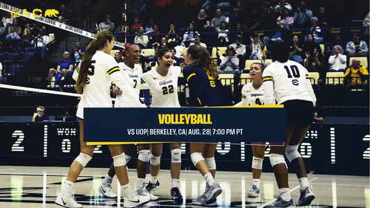 Cal Volleyball team picture for web