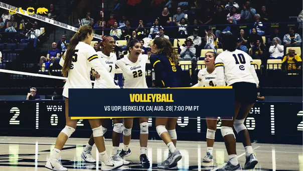 Cal Volleyball team picture for web