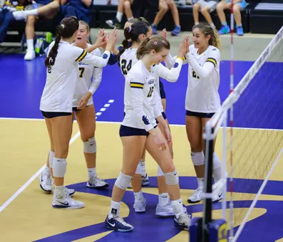 Cal Golden Bears celebrate in win over UOP
