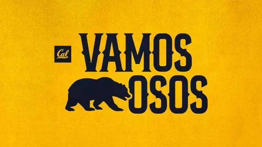 Vamos Osos