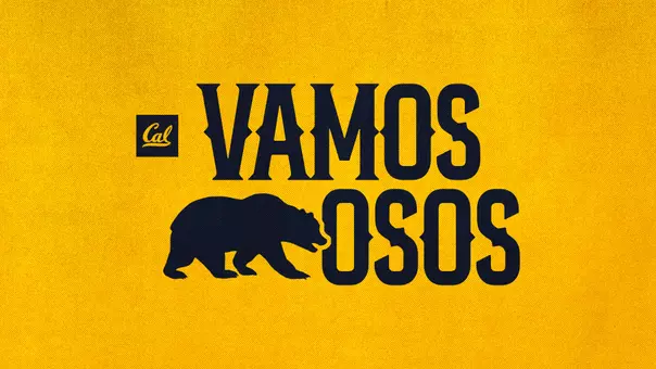 Vamos Osos