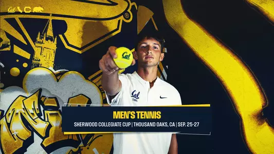 MTEN - Sherwood Preview