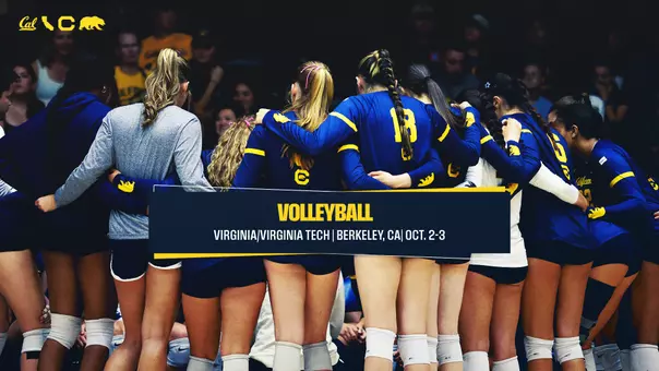 Preview Pic Volleyball