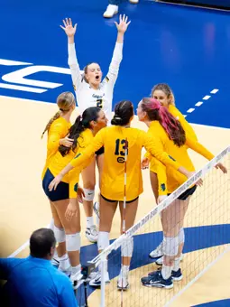 Cal Volleyball Celebrates
