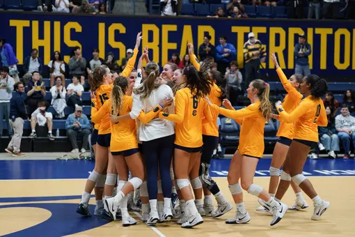 Cal Volleyball Celebrates After a Win