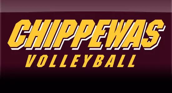 Volleyball Log