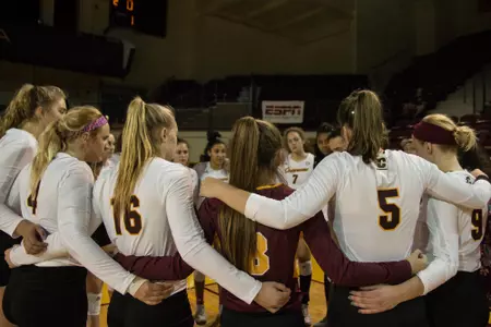 WVB Team