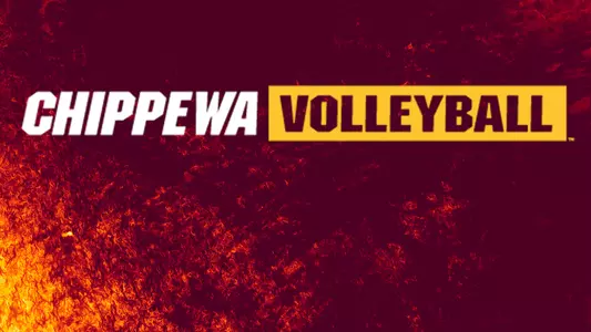 Volleyball Background