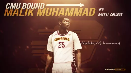 Malik Muhammad