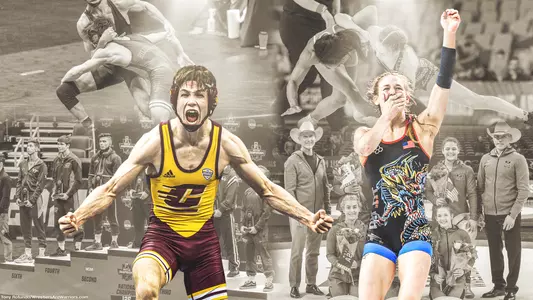 Hildebrandts Feature