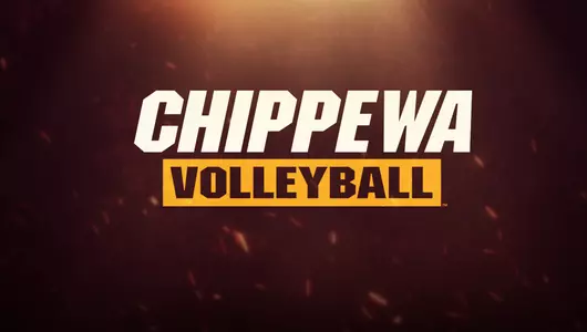 Volleyball Cover Graphic