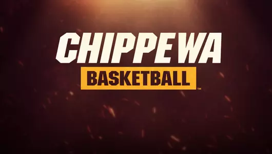 Basketball Cover Graphic