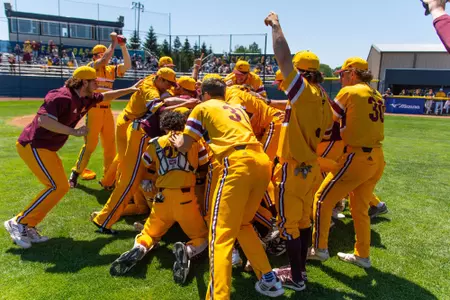 Baseball Celebration