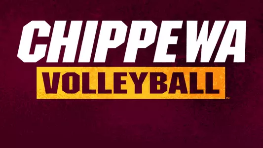Volleyball Graphic