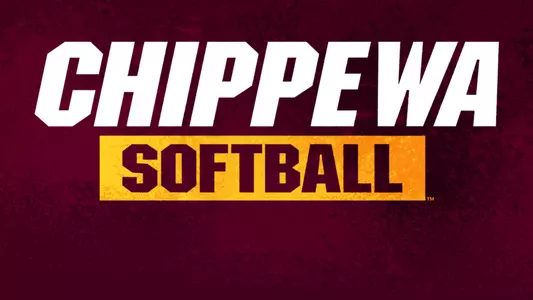 Softball Graphic
