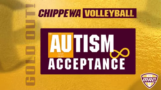 Volleyball Autism Acceptance Graphic
