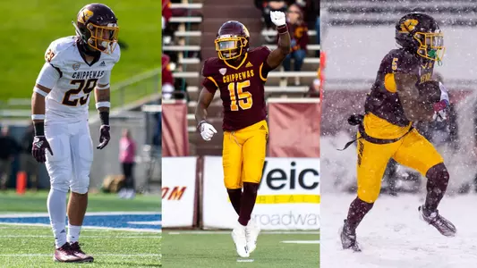 Safeties Graphic