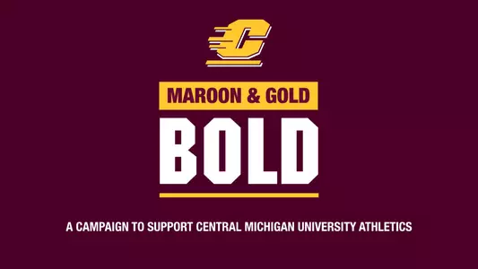 Maroon & Gold Header for Story