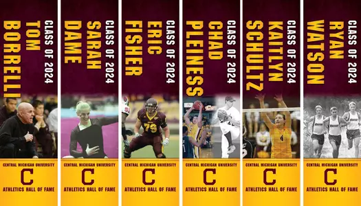 Hall of Fame Banners Header for Story