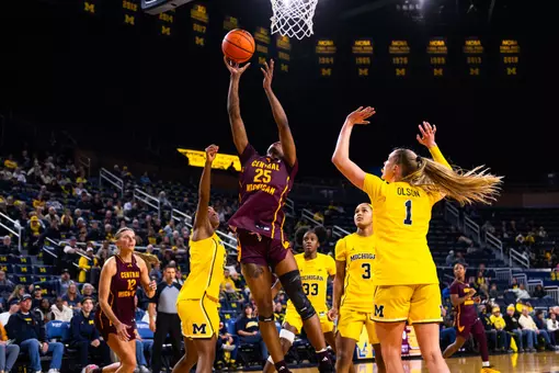 Women’s Basketball Concludes Power Conference Slate at No. 17/16 Kentucky Sunday, Noon ET