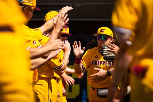 Baseball Tickets on Sale Now