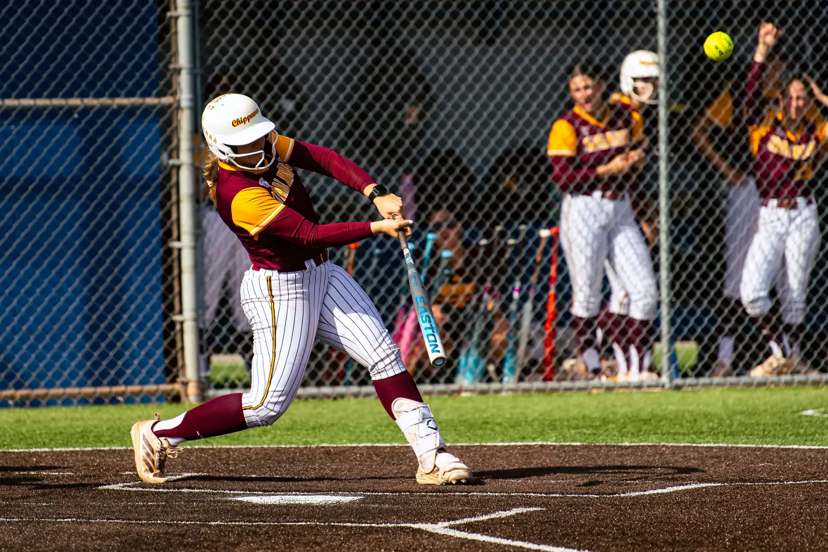 CMU Softball at Buffalo (4/17/26)