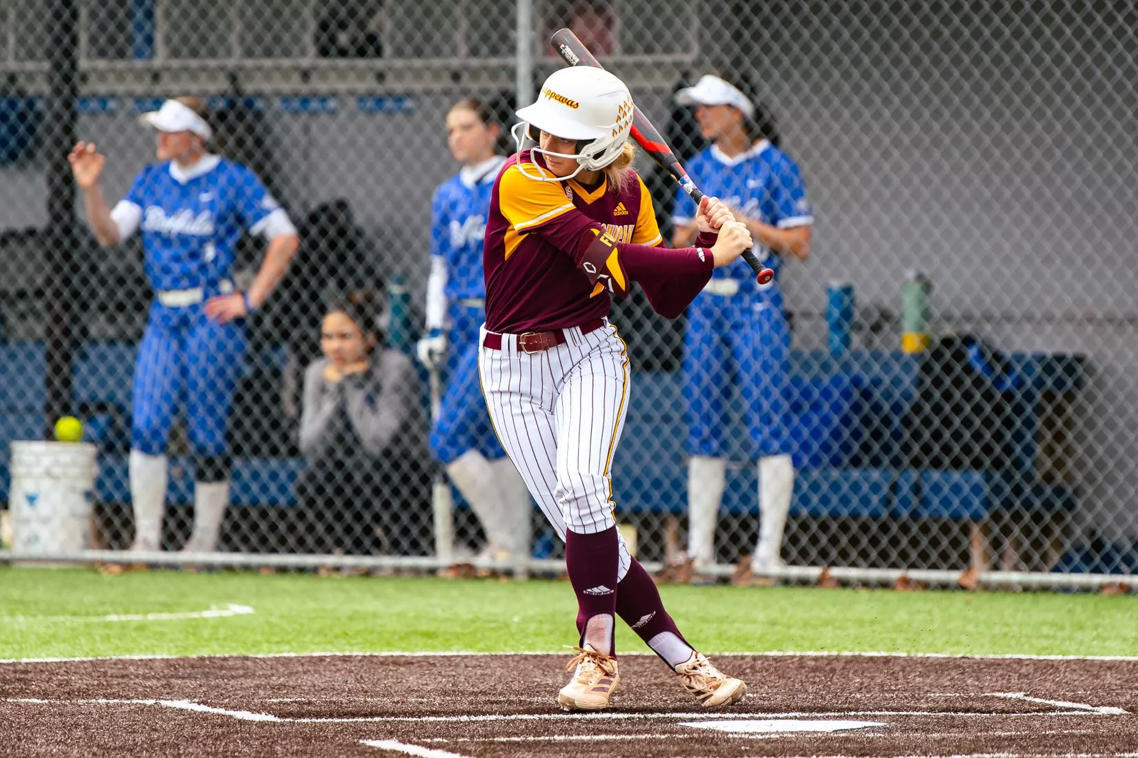CMU Softball at Buffalo (4/17/26)