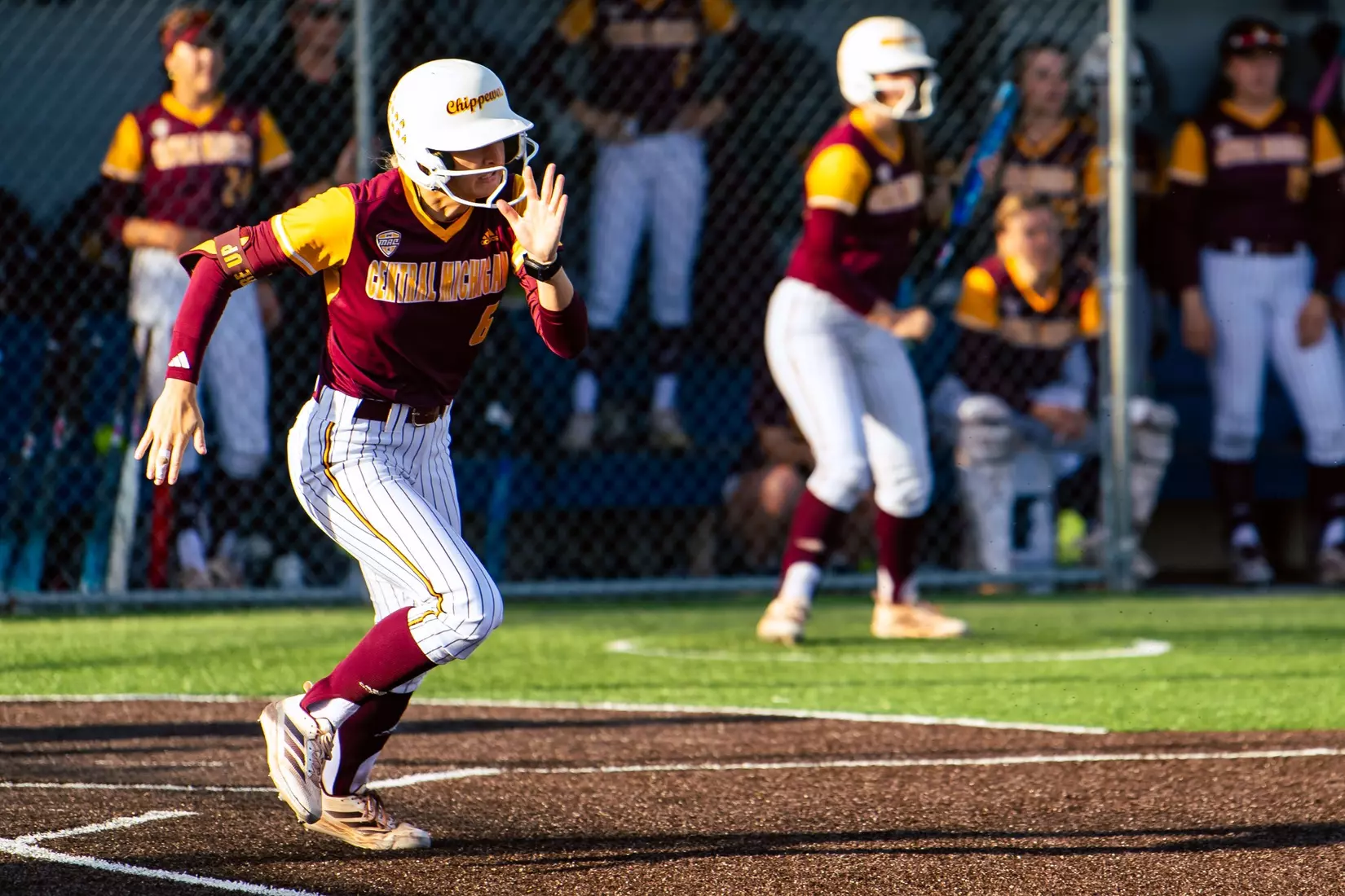 CMU Softball at Buffalo (4/17/26)