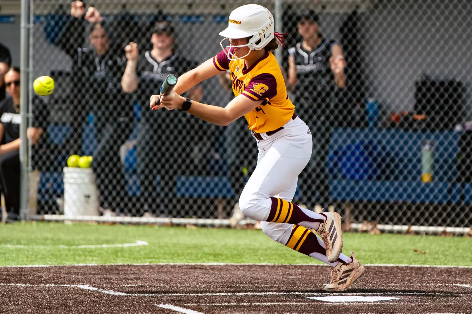 CMU Softball at Buffalo (4/18/26)