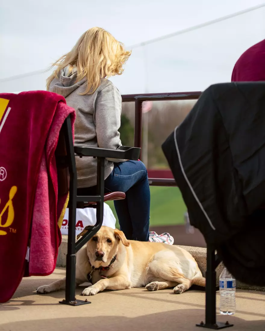 CMU Baseball vs. Ohio (April 17, 2026)