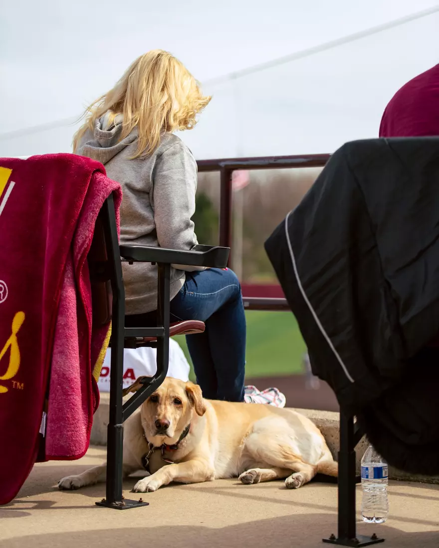 CMU Baseball vs. Ohio (April 17, 2026)