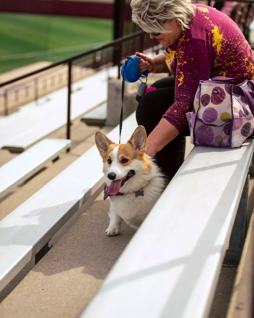 CMU Baseball vs. Ohio (April 17, 2026)