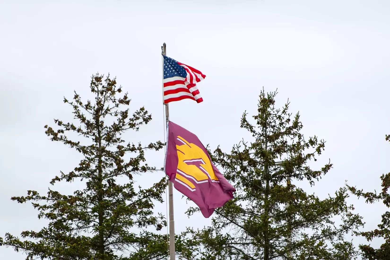 CMU Softball vs. Miami