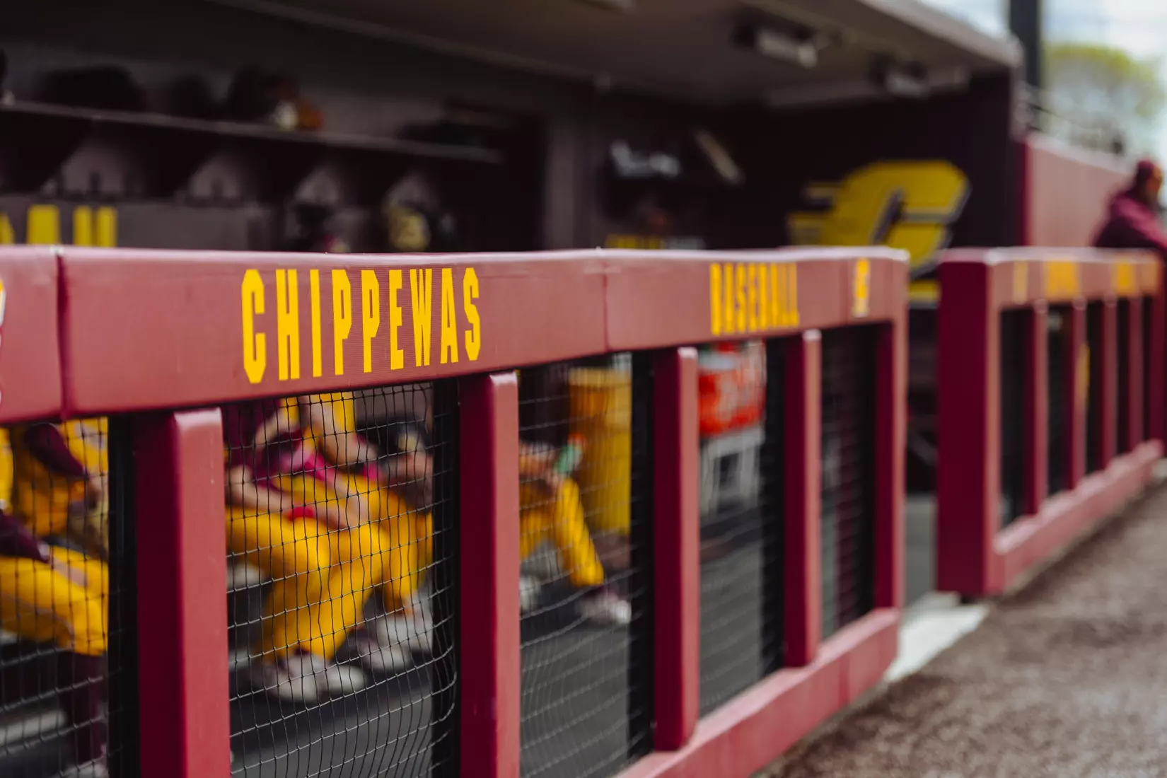 Central Michigan Baseball vs. Akron (May 10, 2026)