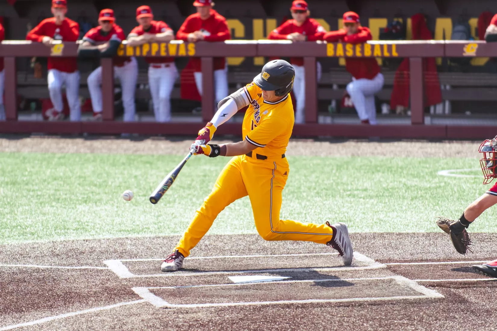 CMU Baseball vs. Northern Illinois