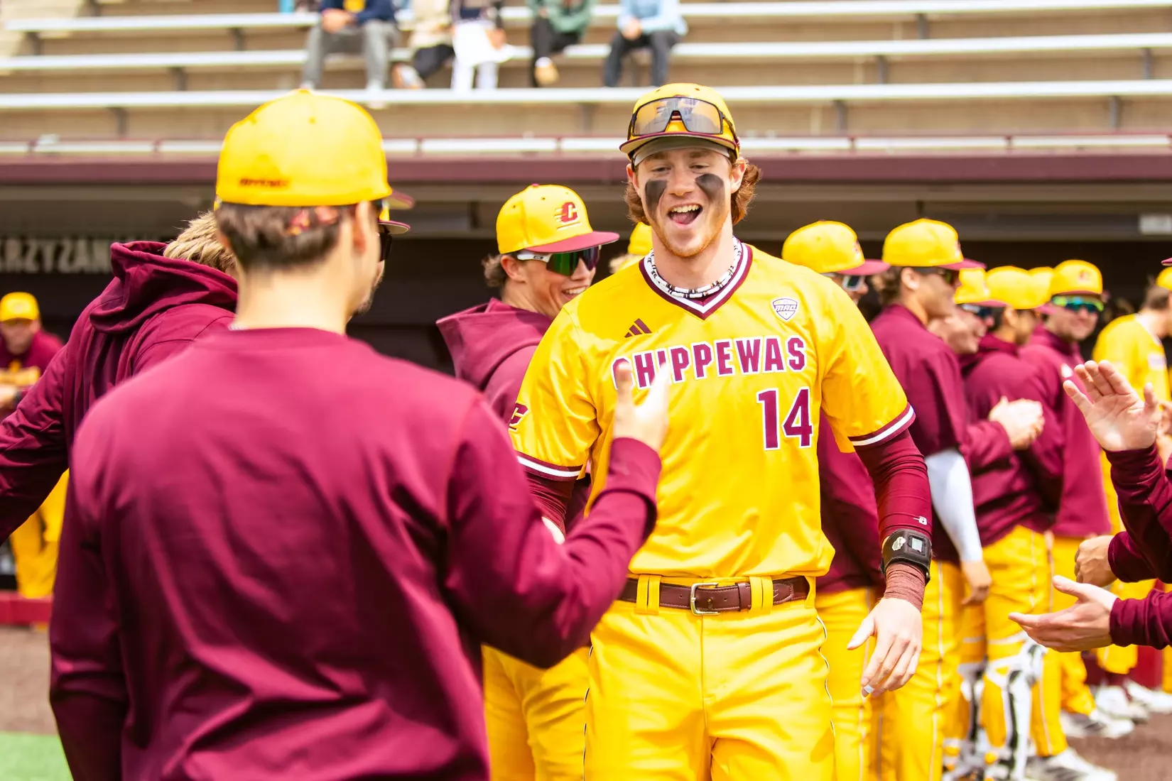 CMU Baseball vs. Northern Illinois