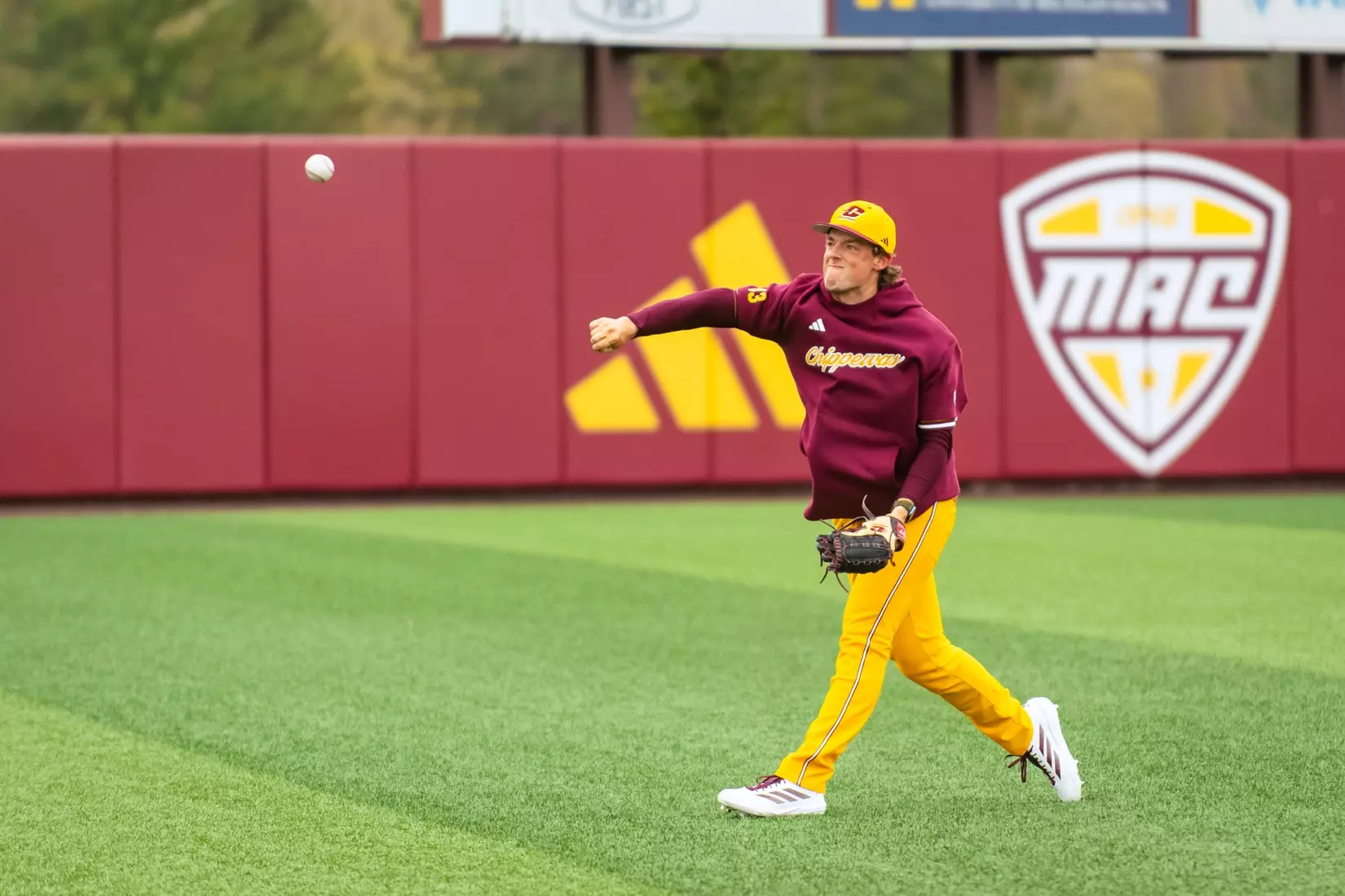 CMU Baseball vs. Northern Illinois