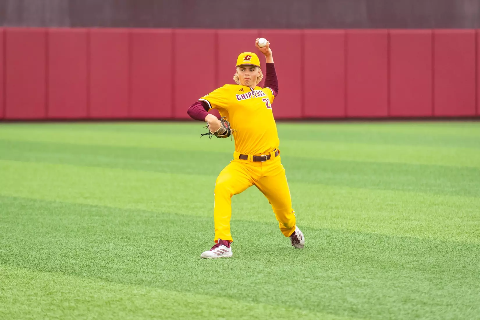 CMU Baseball vs. Northern Illinois