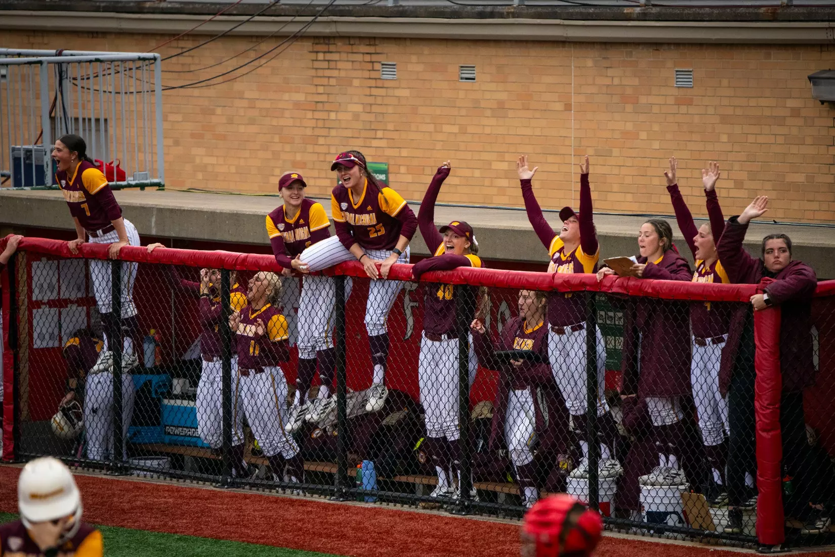 Softball Team