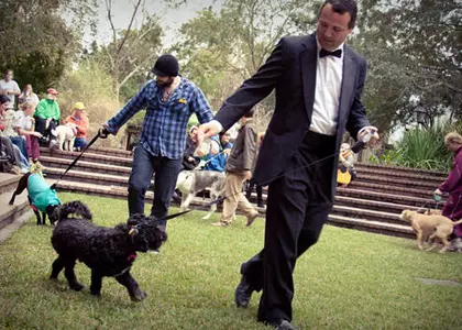 Women's Tennis Hosts Second Annual CofC Dog Show