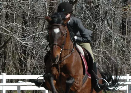 Cougar Equestrian Wins Sixth Consecutive Title with Win at CofC Spring Show