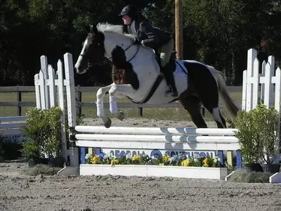 Equestrian Offers a Pair of Strong Outings at Weekend Shows