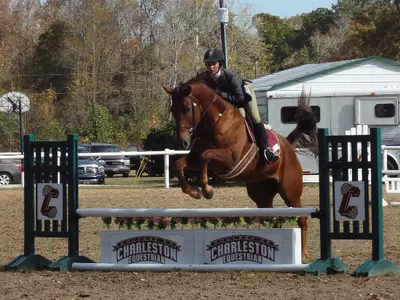 Equestrian Dominates Home Show, Climbs Regional Rankings