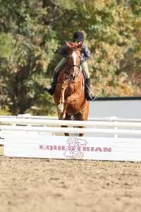 Cougars Head South to Miami