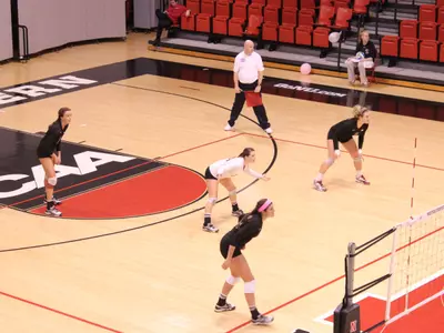Volleyball Downs Northeastern in Penultimate Clash