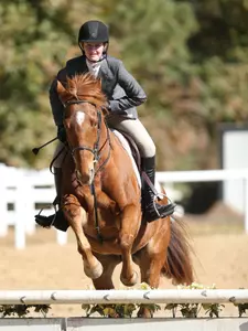 CofC Equestrian Remains Unbeaten