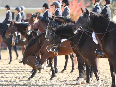 Equestrian Finishes Second; Region Lead Widens